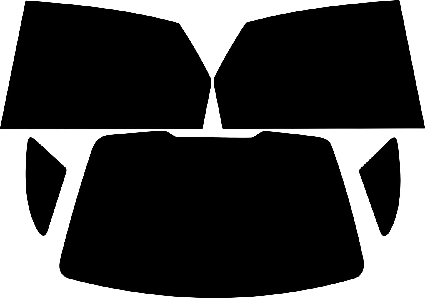 Passgenau zugeschnittenes Tönungsfolien-Set für Citroën C5 Limousine – CNC-Zuschnitt von FVB Carbon Folie