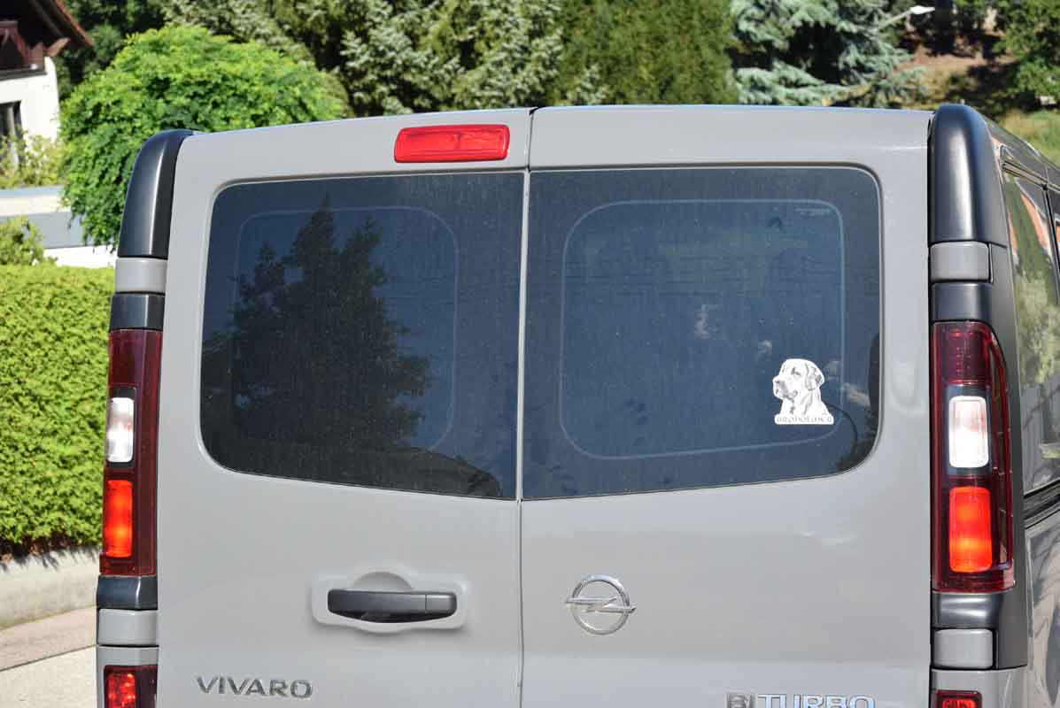 Tönungsfolie passgenau zugeschnitten und professionell montiert auf Opel Vivaro B DOKA 1 – Beispiel mit FVB Carbon Folie